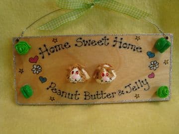 3d Two character Guinea Pig Sign Hutch Run Room Home House Cage Garden Personalised Plaque Sign Cavy