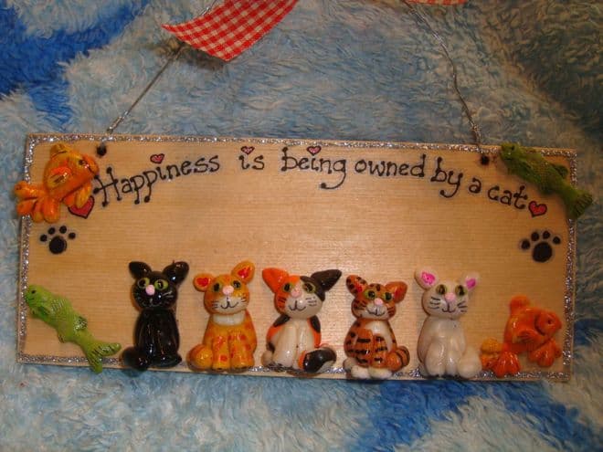 5 character 3d Kitty Sign Any Phrasing Personalised & Customised Plaque Handmade To Order Happiness is being owned by a Cat