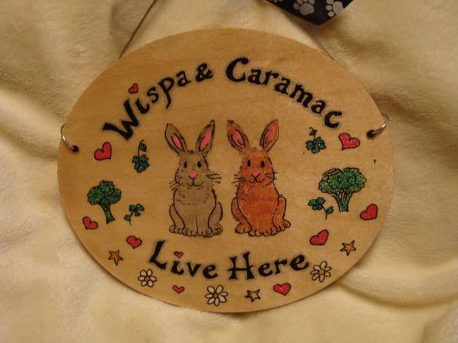 BUNNY HUTCH RUN CAGE OR BEDROOM SIGN ANY COLOUR RABBIT WOODEN PERSONALISED OVAL ORDER