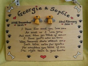 Two character 3d Pet Angel Personalised Memorial Poem Plaque A4 sized Sign Handmade Cat Dog Rabbit Guine Pig Any animal (1)