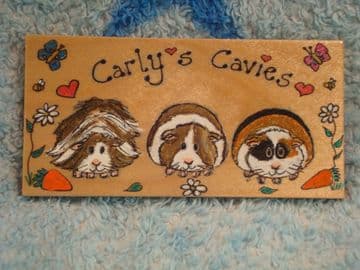 Wooden Guinea Pig Cavies Cavy  Hutch Run Cage  Bedroom Sign Personalised